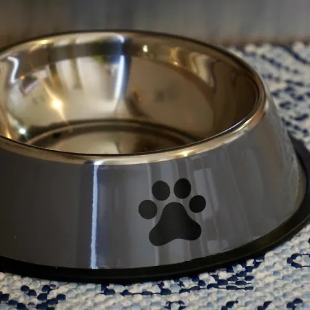 In 3652-2 Apartman Rovinj